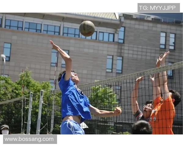 重庆排球队的个人能力揭秘：排球巨献背后的故事与训练秘诀