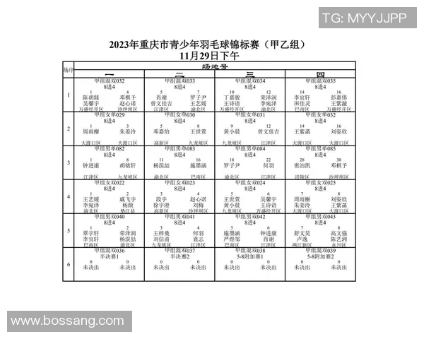 重庆羽毛球队深度解析：控制技巧与训练方法的全面揭秘
